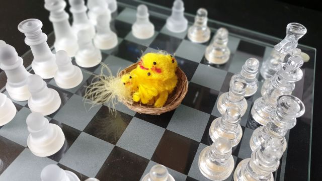 Chess Easter